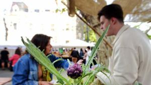 La Fiesta del Alcaucil llega a Los Hornos con platos típicos, clase de cocina y shows en vivo