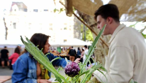 La Fiesta del Alcaucil llega a Los Hornos con platos típicos, clase de cocina y shows en vivo