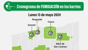 Prevención del dengue: este es el cronograma de fumigación del inicio de semana