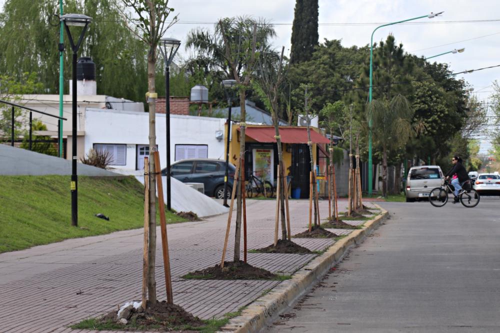 Oxbow Argentina- Planta Copetro donó árboles a la Municipalidad de Ensenada