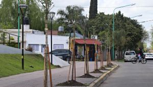 Oxbow Argentina- Planta Copetro donó árboles a la Municipalidad de Ensenada